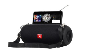 GEMBIRD Portable Bluetooth Speakers with Antenna Black