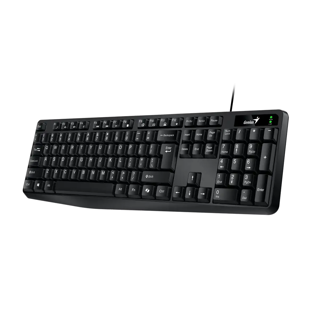 Genius KB-117 Wired USB Keyboard with Copilot Key | Black