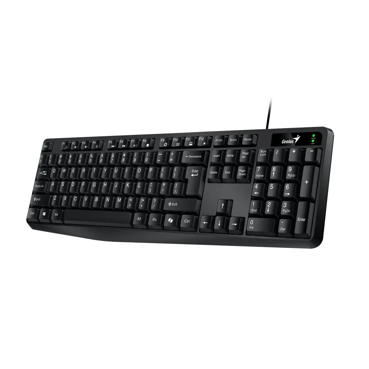 Genius KB-117 Wired USB Keyboard with Copilot Key | Black